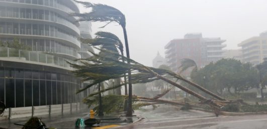hurricane guide